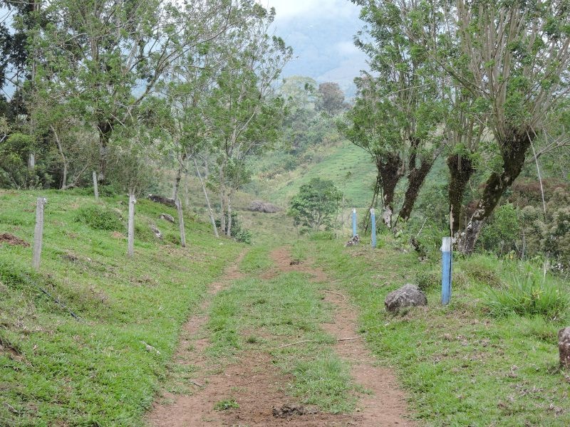 Finca Lechera con certificados de Dos Pinos